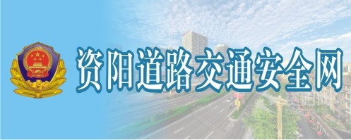 逼逼好骚资阳道路交通安全网